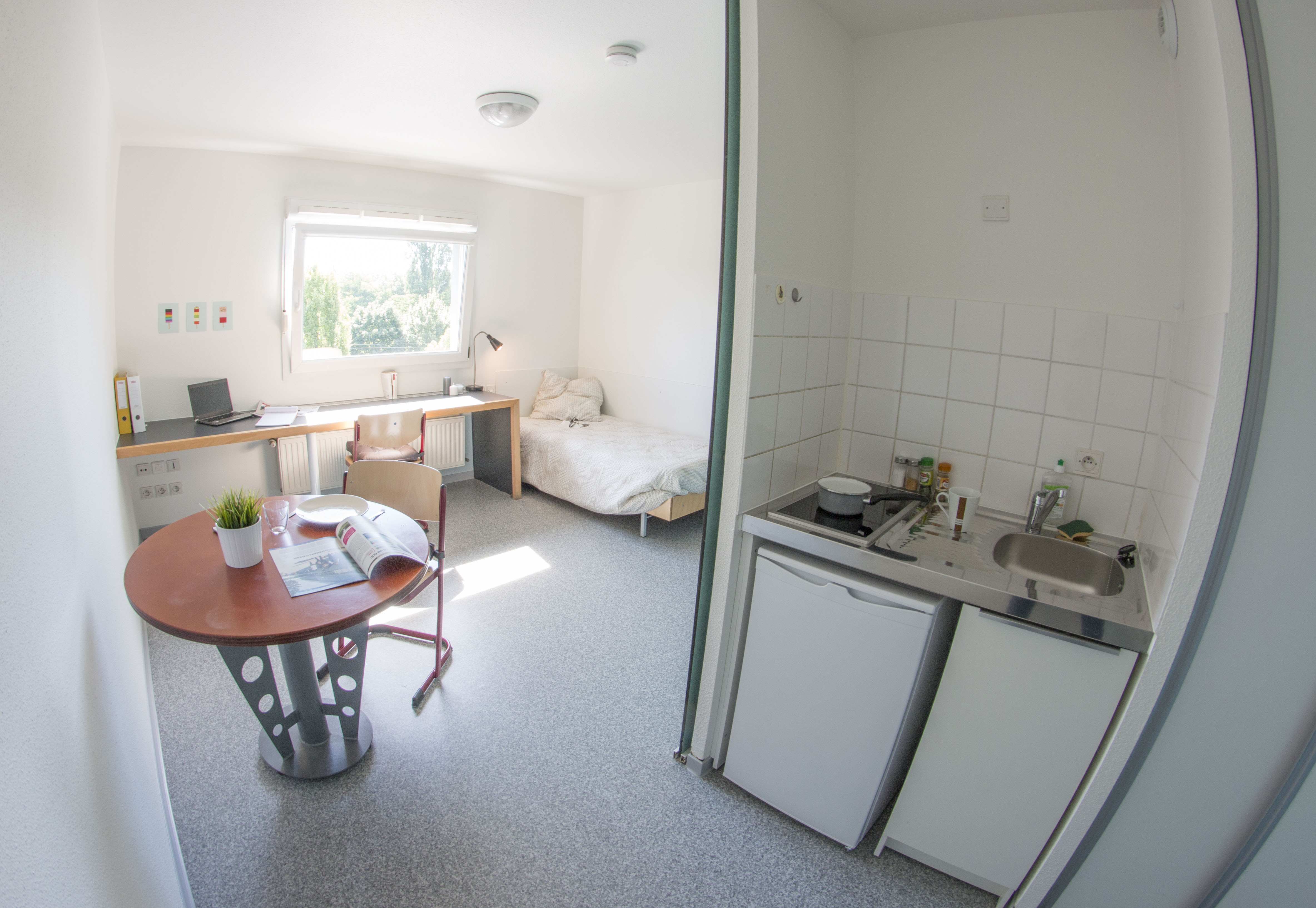 Résidence Universitaire Katia Et Maurice Krafft